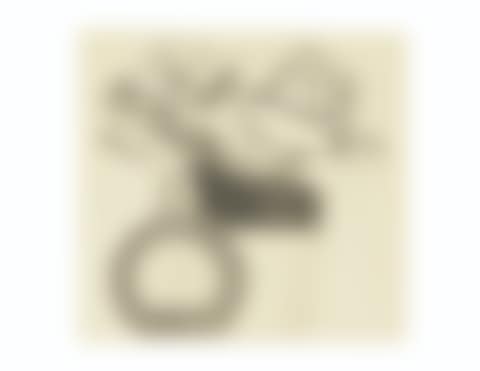 Still Life Drawing (preview)