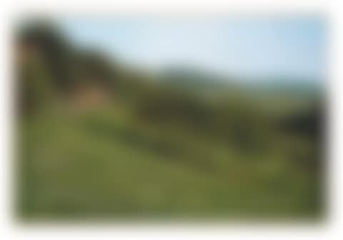 Wiese (Meadow) (preview)