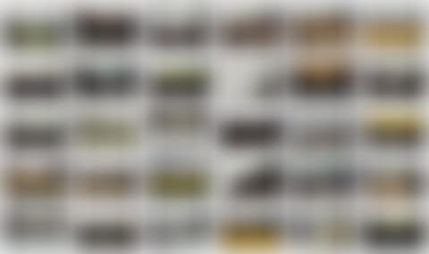 The Landscape Series (preview)