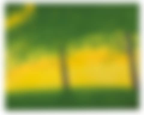 Golden Field no.3 (preview)