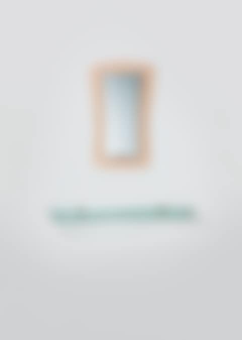A WALL-MOUNTED MIRROR AND A CONSOLE (preview)