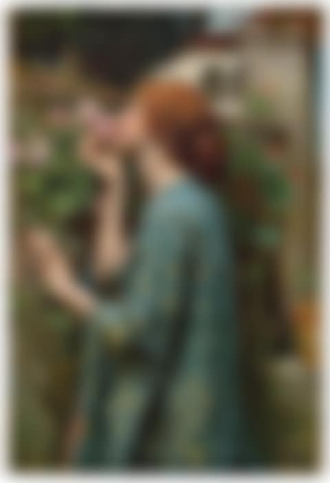The Soul of the Rose (preview)