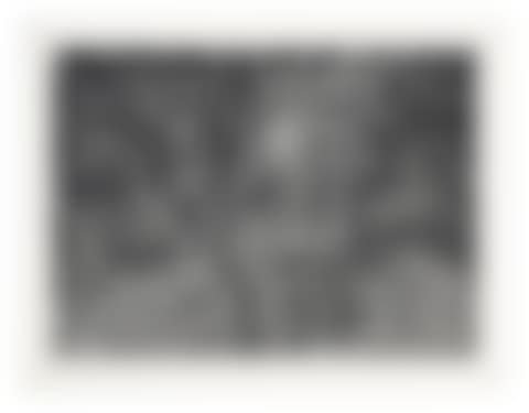 Painter's Garden (preview)