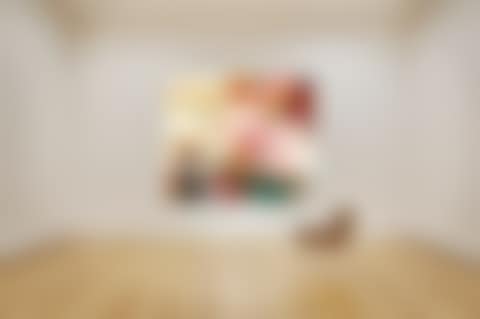Flowers and Females (preview)