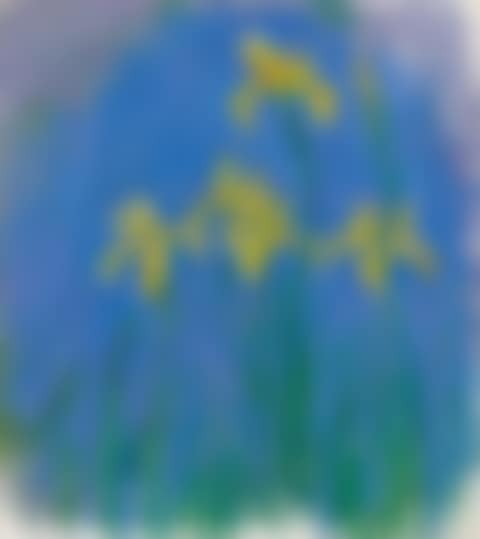 Iris (preview)