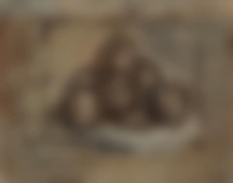 Nature morte aux pommes (preview)