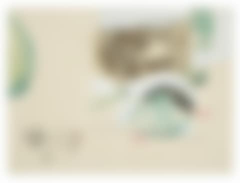 Paragraph II (preview)