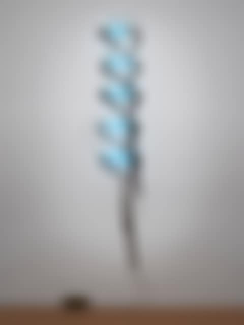 Cinghie [avido, mio nome, ripetuto, nebuloso, farfallesco] (preview)