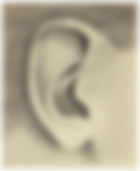 Paul's Ear (preview)