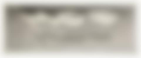 Hog (preview)