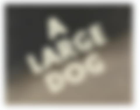 A Large Dog (preview)