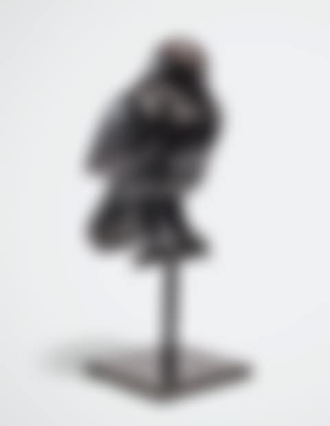 Bird on a Perch (preview)