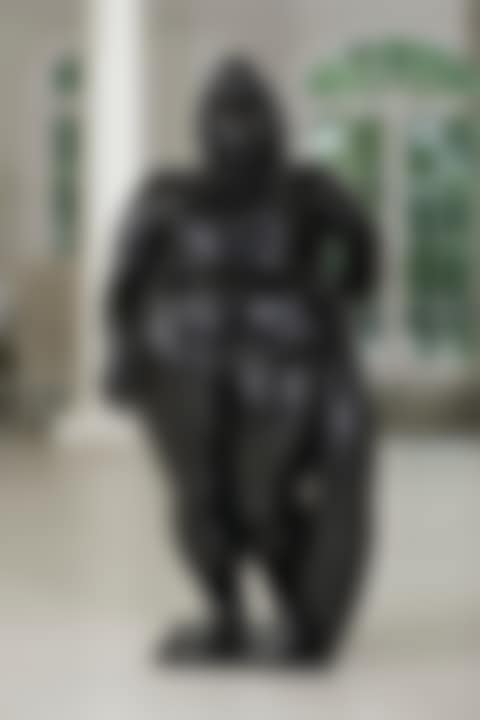 Venus (preview)