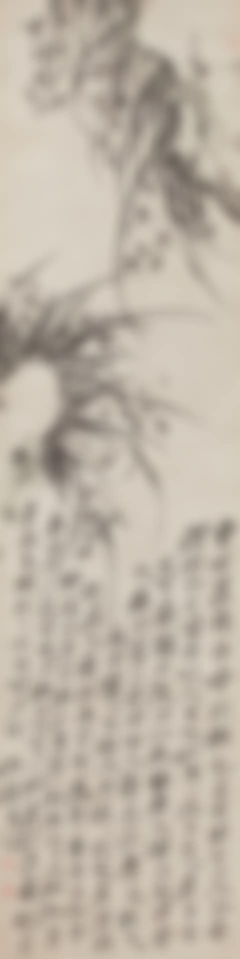 Orchid (preview)