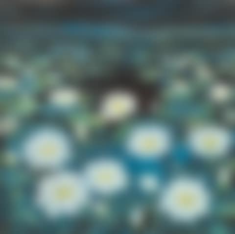 Lotus Pond (preview)