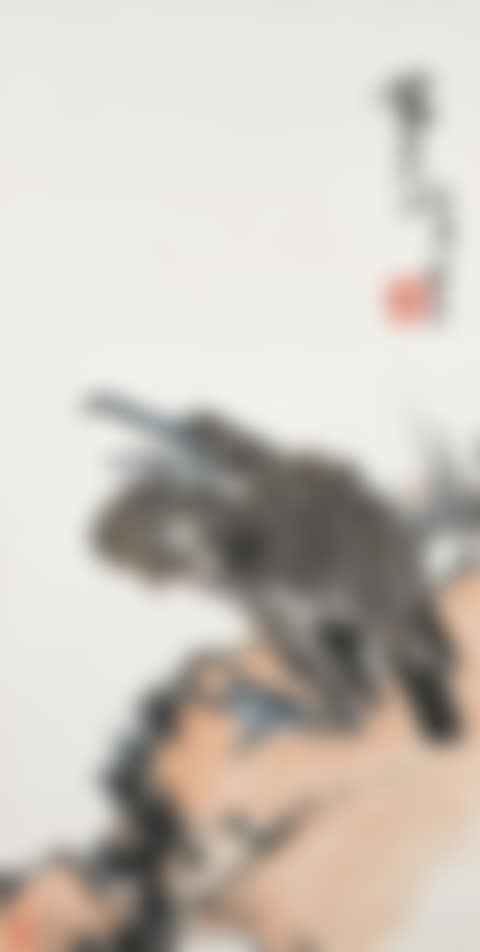 Bird on Rock (preview)