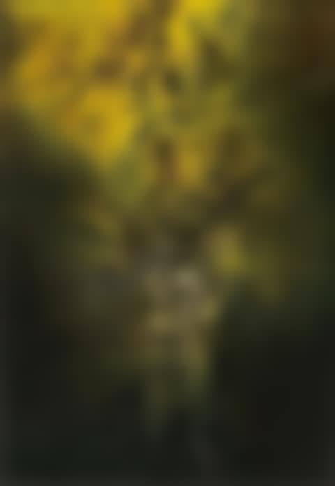 24.12.59 (preview)