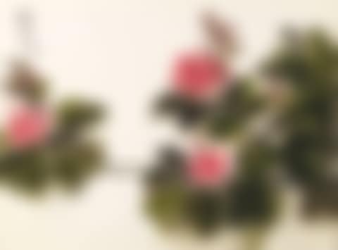 Flowers (preview)