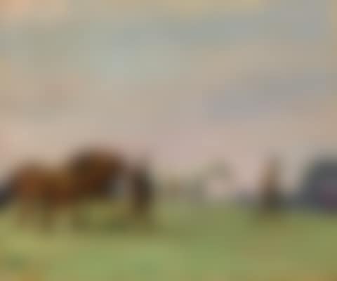 The Green Meadow (preview)