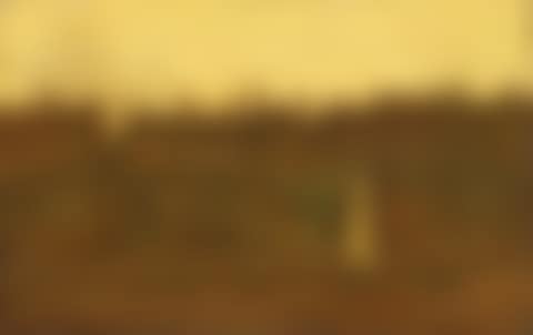 In the golden gloaming (preview)