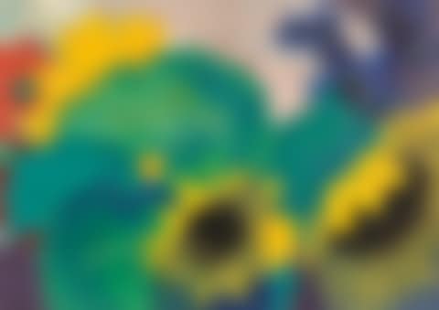 Sonnenblumen (preview)