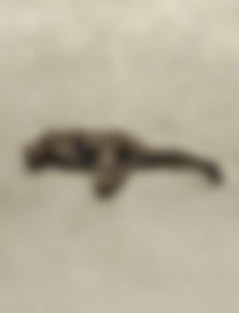 STRETCH (preview)