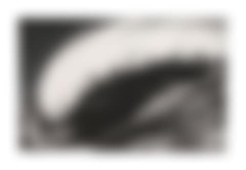 Untitled (Cohu) (preview)