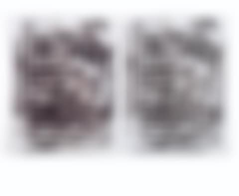 Untitled (Two works) (preview)