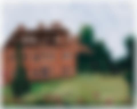 House (Brown) (preview)