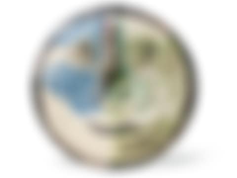 VISAGE (preview)