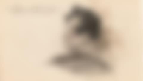TÊTE D'HOMME, PROFIL (preview)