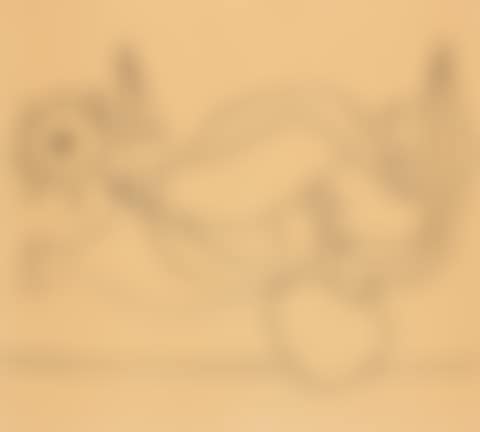 POISSONS (preview)