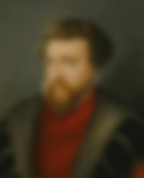 PORTRAIT OF A MAN, HALF-LENGTH, WEARING A FUR-TRIMMED COAT AND WHITE RUFF (preview)