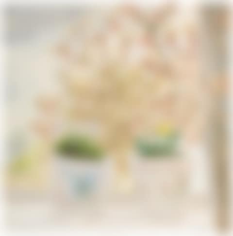 VASES FROM BRITTANY (preview)
