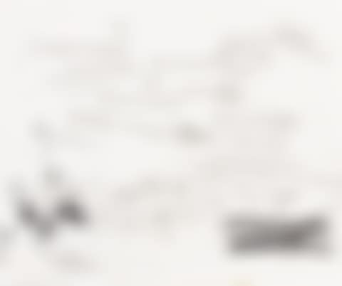 UNTITLED (SELF PORTRAIT IN WORDS) (preview)