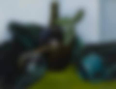 STILL LIFE WITH BLUE BOTTLE (preview)