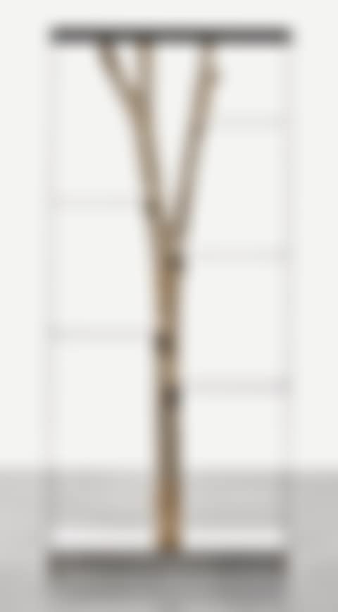 'PICCOLO ALBERO' BOOKCASE (preview)