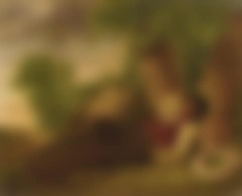 BOY ASLEEP AT THE BASE OF A TREE (preview)