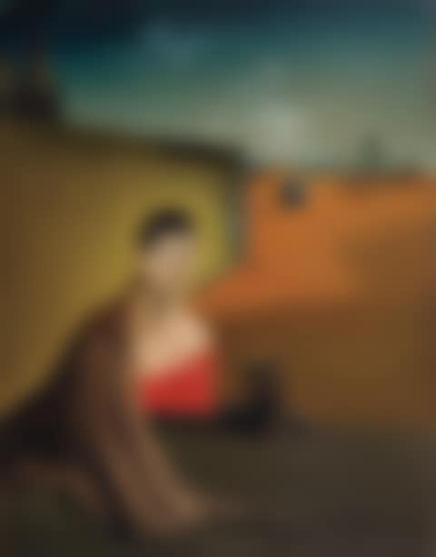 PORTRAIT DE MADAME DUCAS (preview)