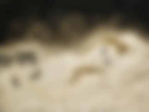 YOUKI AU CHAT (preview)