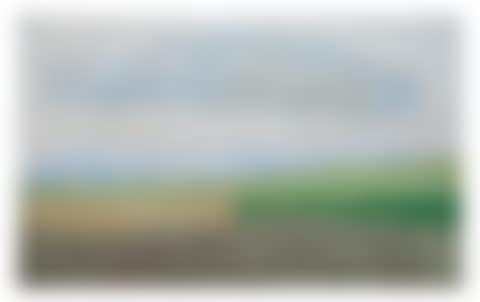 HONFLEUR (preview)