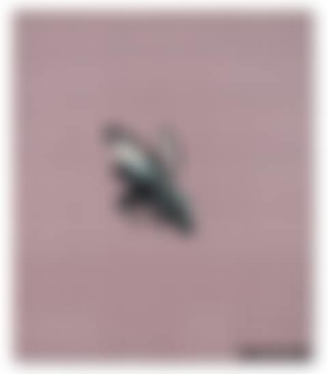UNTITLED (preview)