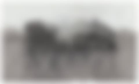 UNTITLED (ISLAND) (preview)