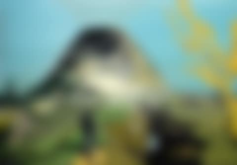 VULKAN (preview)