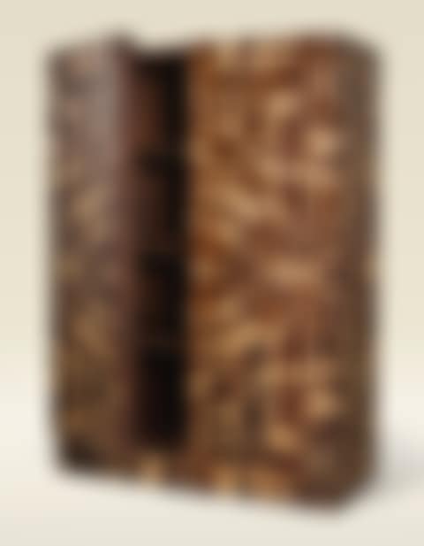 CABINET FROM THE 'PERISHED' COLLECTION (preview)