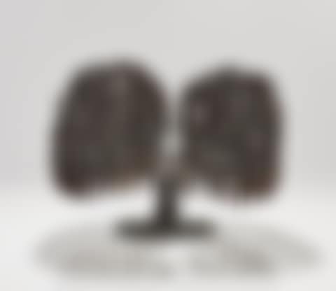 UNTITLED (BUSH) (preview)