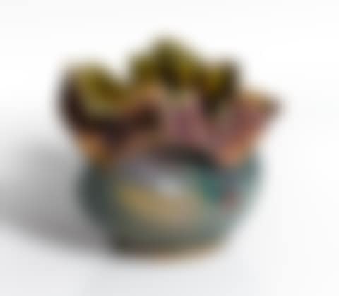 VASE (preview)
