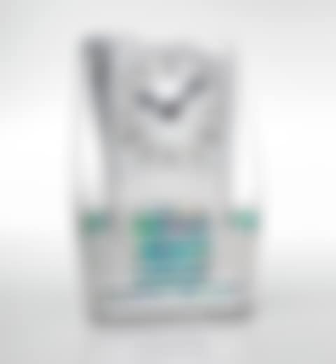 "TUDRIC" CLOCK, MODEL NO. 0252 (preview)
