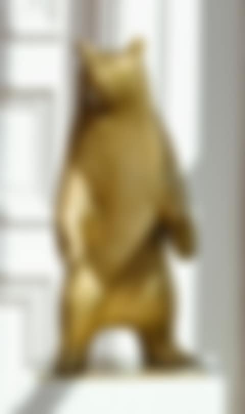 PETIT OURS (preview)
