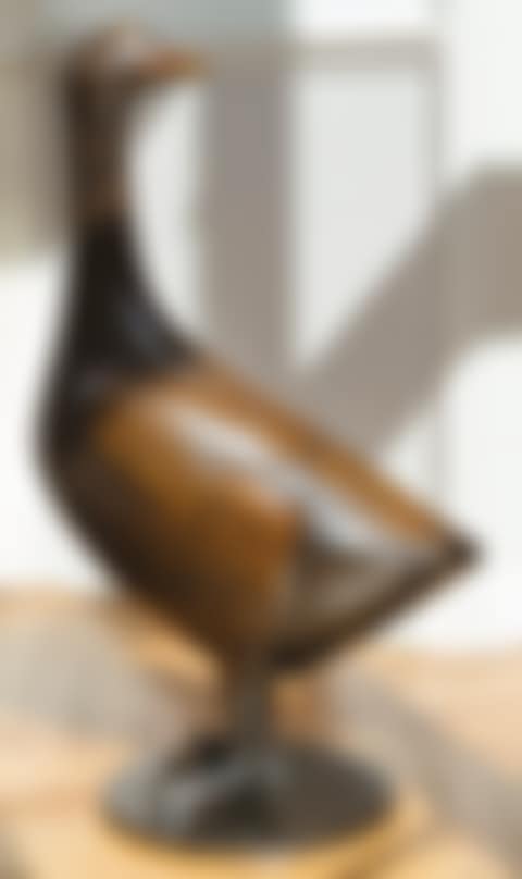 OIE SAUVAGE (preview)
